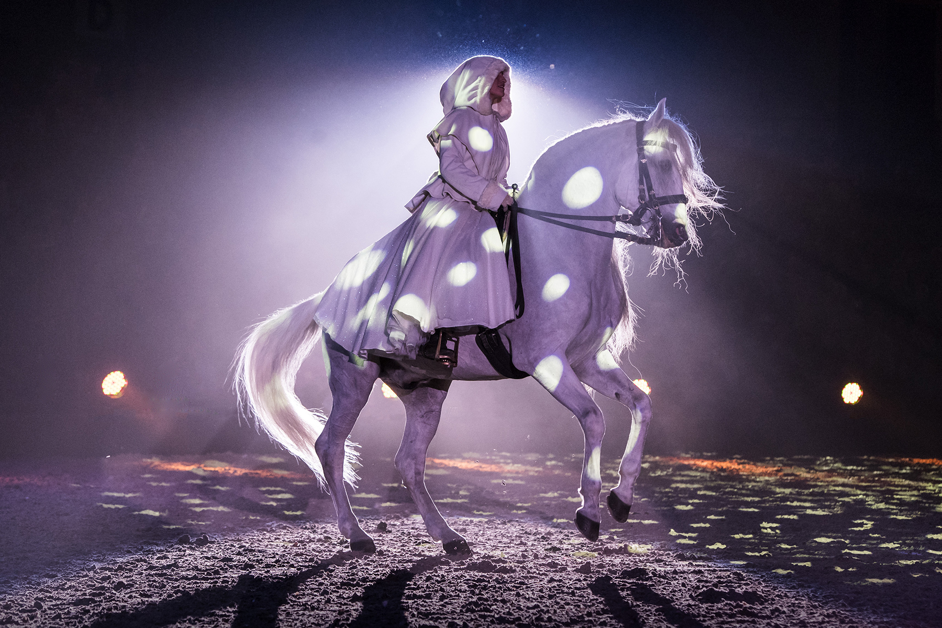 CAVALLUNA Kids - Wintershow München 2022/23 (SHOWPALAST MÜNCHEN)