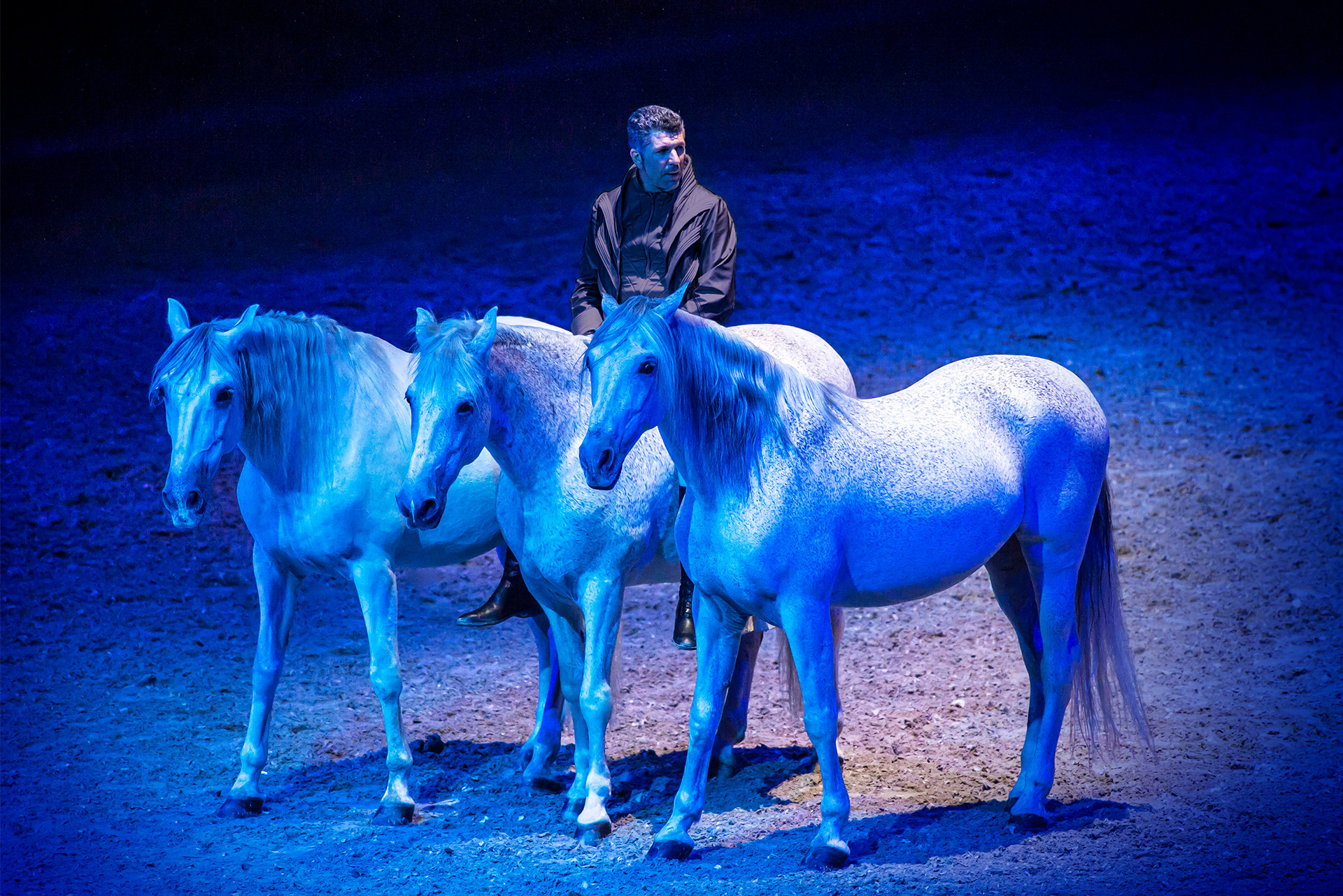 Cavalia Schedule 2022 Phoenix Cavalluna - Secret Of Eternity” - Tour 2022/23 | All Information & Tickets