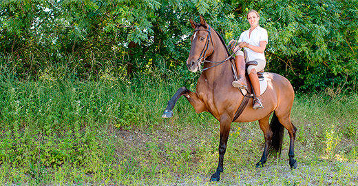 Femme en amazone, cheval effectuant le pas espagnol 