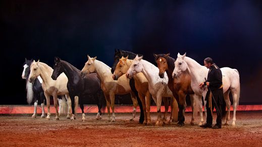 Bartolo Messina avec un groupe de chevaux en liberté sur la scène 