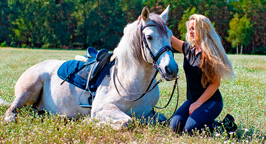 Blonde Frau liegt mit weißem Pferd auf der Wiese