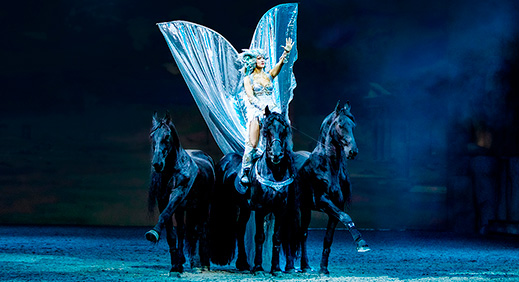 Žena stojící na černém fríském koni, kůň dělá španělský krok 