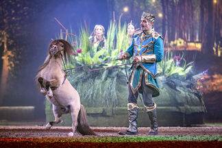 Talentiertes Minishetty 300 dpi