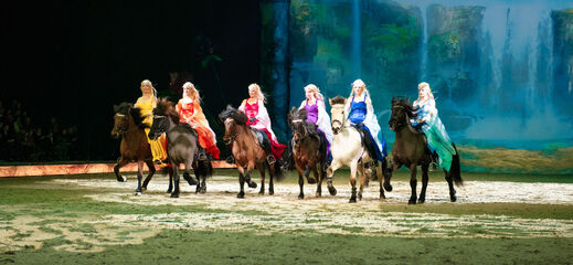 Showteam Lipperthof IJslanders World of Fantasy IJslander met ruiter op het podium