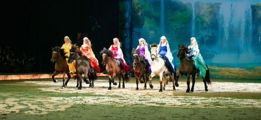 Icelandic horse on stage with a rider