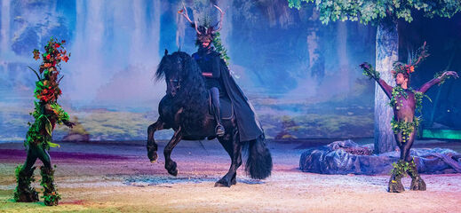 World of Fantasy Friesian horse rider on stage