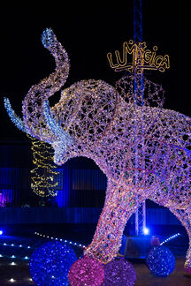 Beeindruckender Elefant