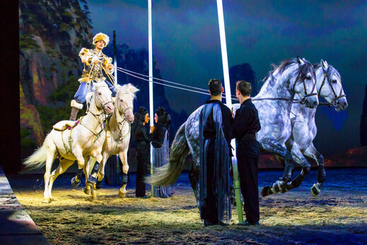 Man on horses during show