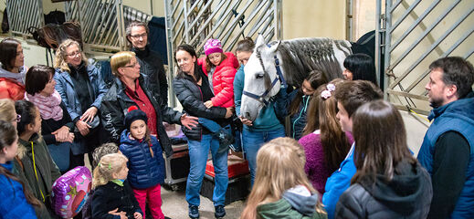 People at the horse stable