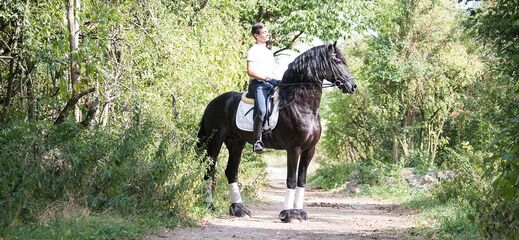 Ruiter Filipe Fernandes zit op een Fries in de vrije natuur