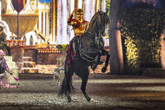 Steigendes Pferd 300 dpi