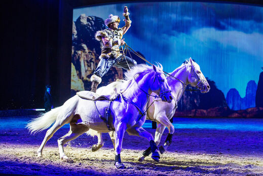 Man standing on two white horses