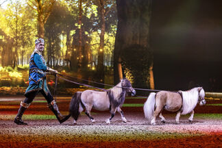 Niedliche Miniponys 300 dpi