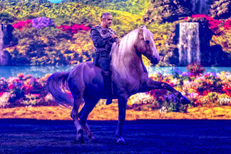 Emotionale Freiheitsdressur 300 dpi