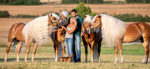 Claus Luber avec des Haflingers dans un pré