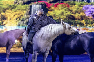 Harmonie zwischen Mensch und Pferd 300 dpi