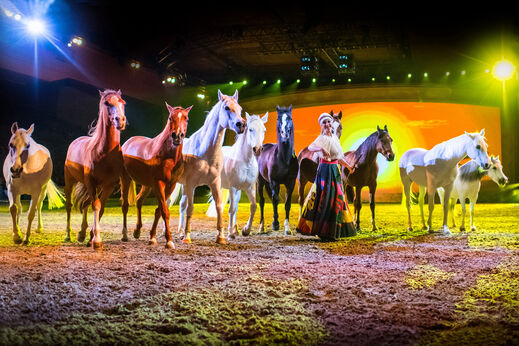 Une femme avec plusieurs chevaux 